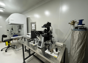 IVF Lab