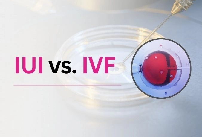 What is the difference between iui and ivf?