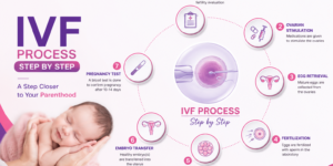 IVF Step by Step